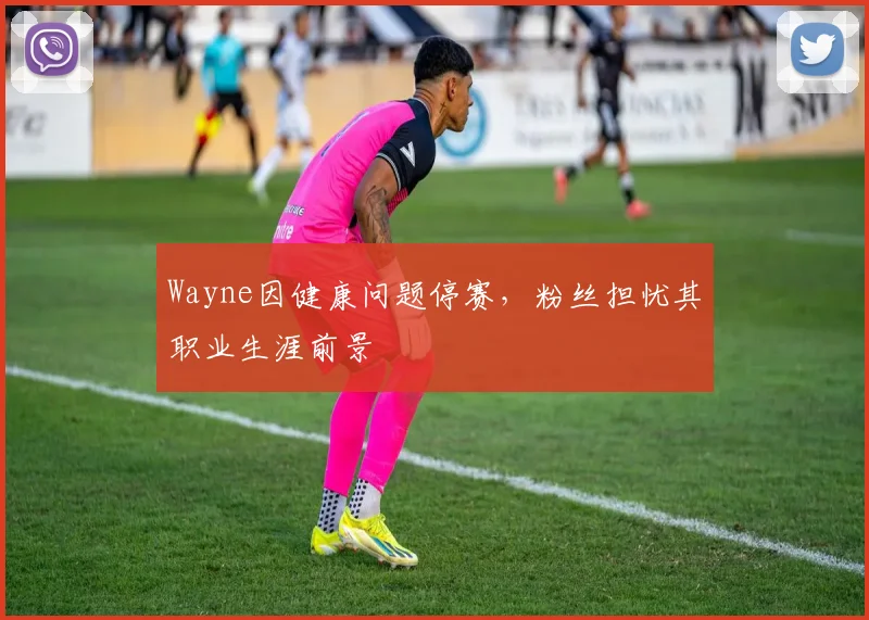 Wayne因健康问题停赛,粉丝担忧其职业生涯前景